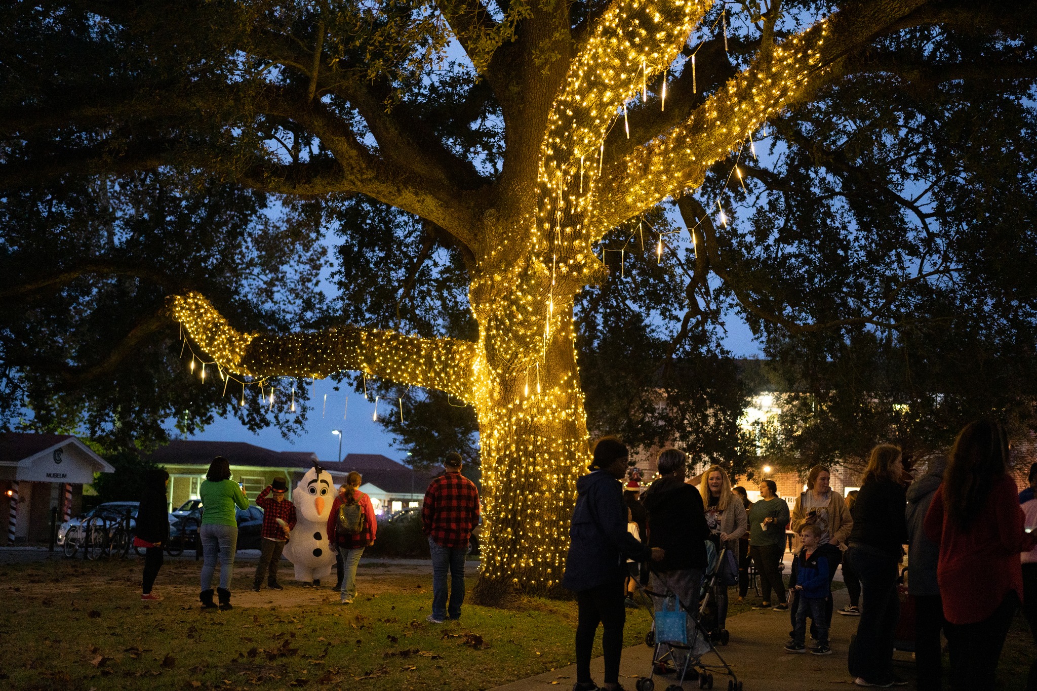 People talking in groups and visiting with Olaf from Frozen under an oak tree with lights on it